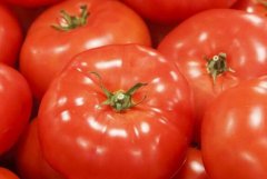 無毒化農(nóng)藥有可能成為未來趨勢嗎？