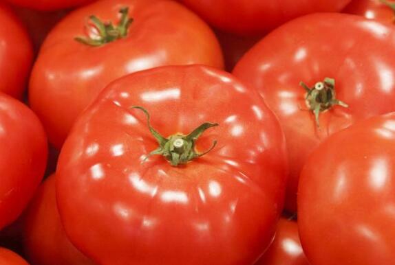 農(nóng)藥殘留速測儀