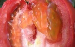 果蔬快檢儀器讓農(nóng)殘超標(biāo)果蔬“無處遁形”